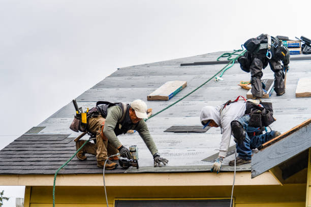 Professional Storm Damage Roof Repair technician working in Napoleon, MO